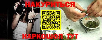 альфа пвп Заводоуковск