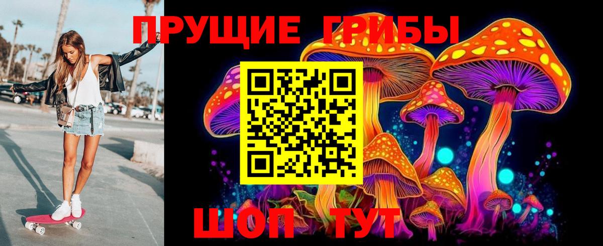 Псилоцибиновые грибы Psilocybe  Вход с VPN  Луховицы 