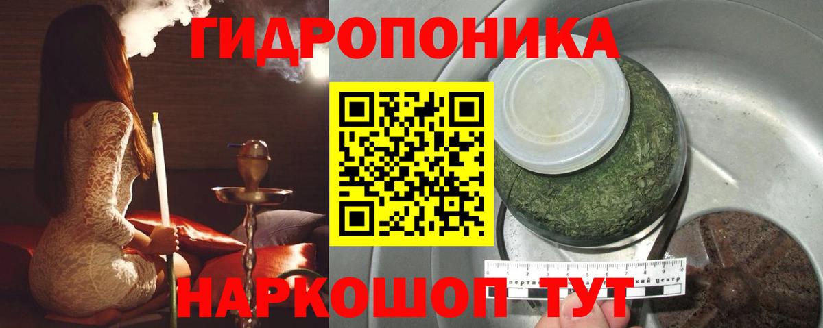 Конопля планчик Луховицы